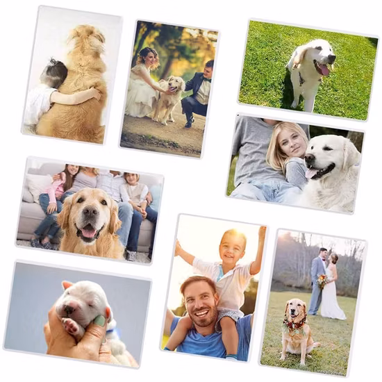 Magnet Acrylic Picture Frame & Plastic PMMA Acrylic Photo Frame for Home Decoration
